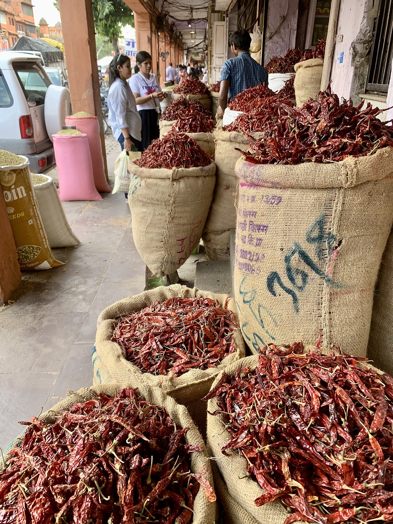Dried red chillies and Indian spices
